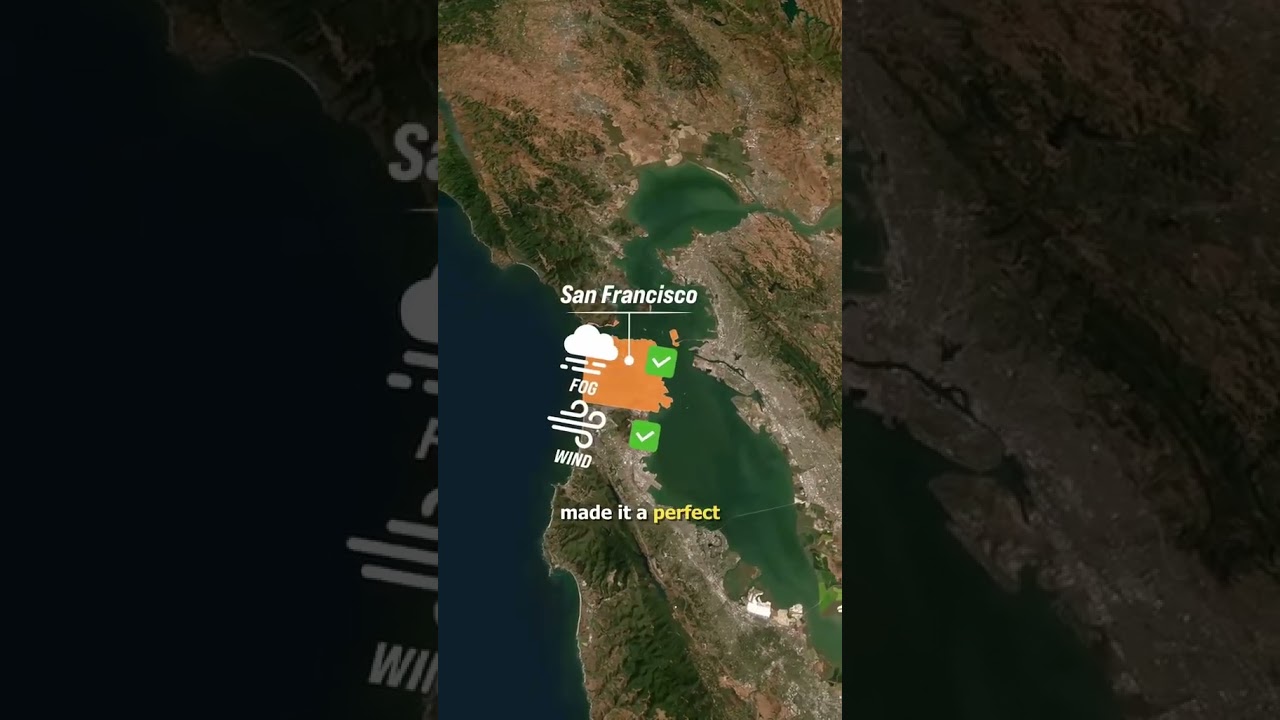 In 1950, the U.S. Navy secretly sprayed biological chemicals over San Francisco #history #usa #news In 1950, the U.S. Navy secretly sprayed biological chemicals over San Francisco #history #usa #news