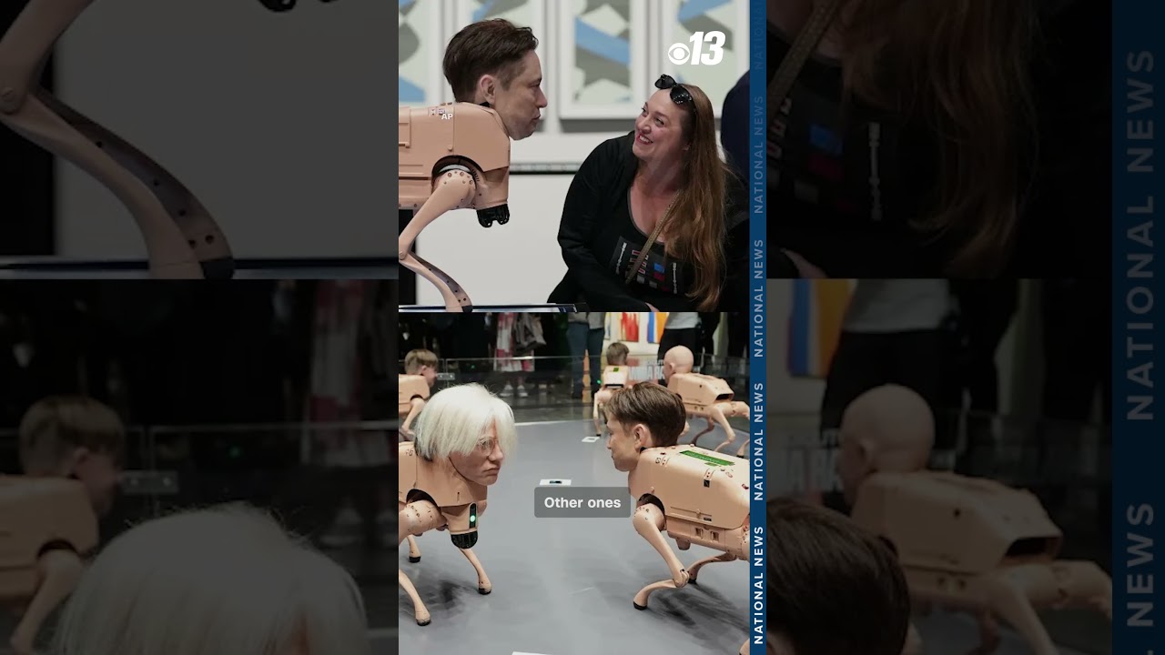 Real dogs meet Elon Musk robot dog