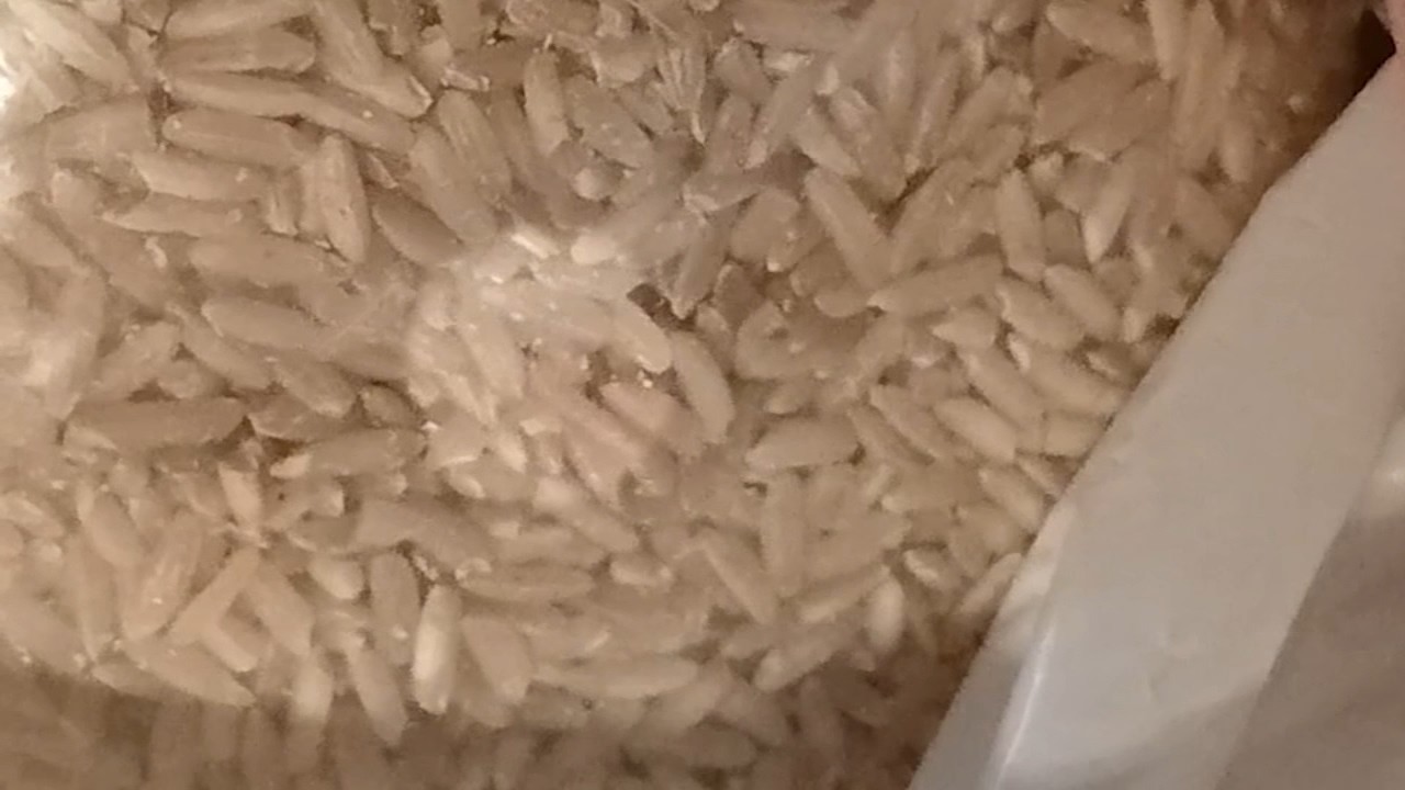 San Francisco woman finds insects inside rice bags from Amazon: ‘There were things wiggling in it!’ San Francisco woman finds insects inside rice bags from Amazon: ‘There were things wiggling in it!’