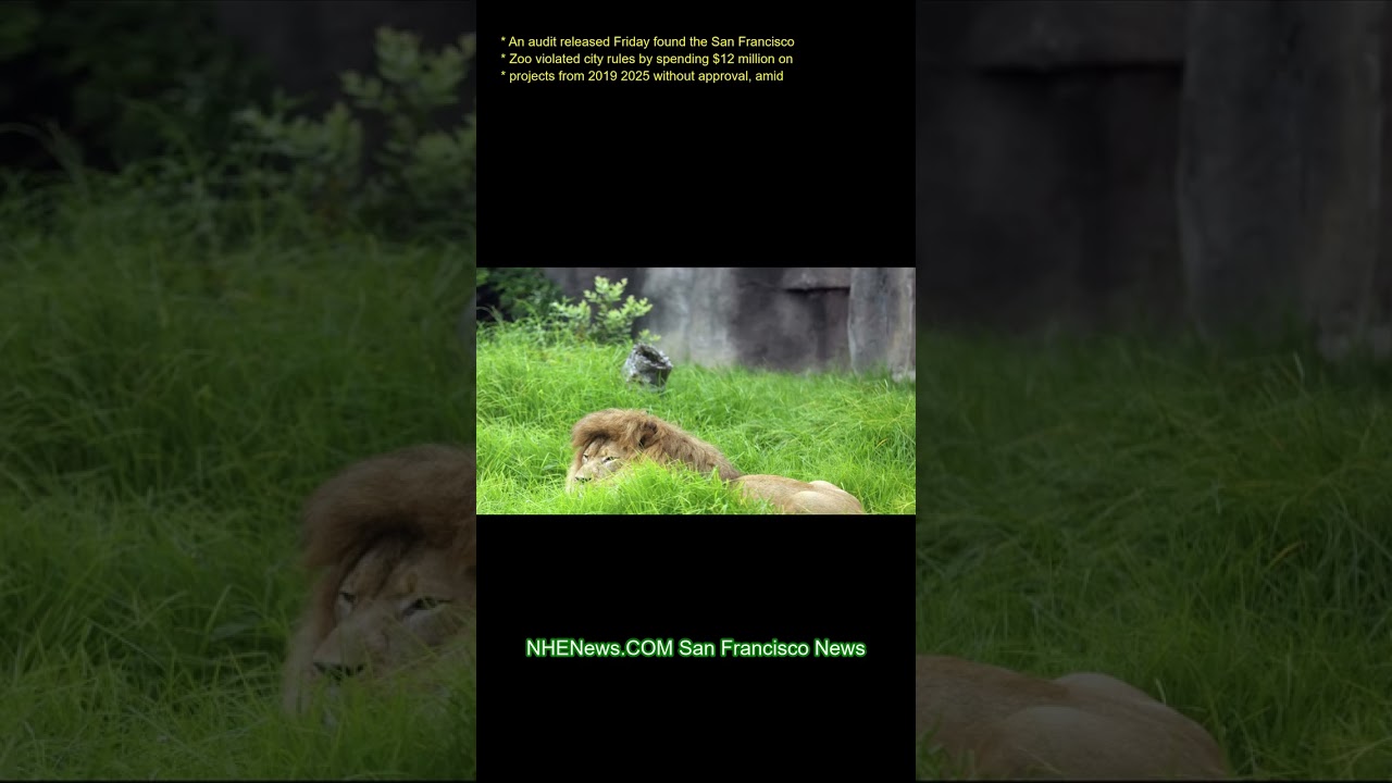 An audit released Friday found the San Francisco Zoo violated city rules by spending million on An audit released Friday found the San Francisco Zoo violated city rules by spending million on