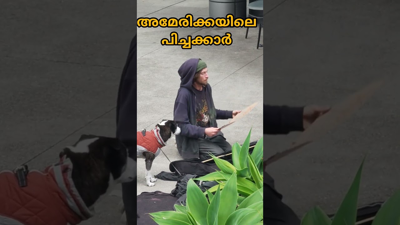 Beggars in America #news #kerala #duet #music #beggars #sanfrancisco #follower #highlights #cover