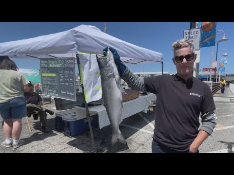 First salmon of the season being sold off boats at San Francisco’s Fisherman’s Wharf First salmon of the season being sold off boats at San Francisco’s Fisherman’s Wharf