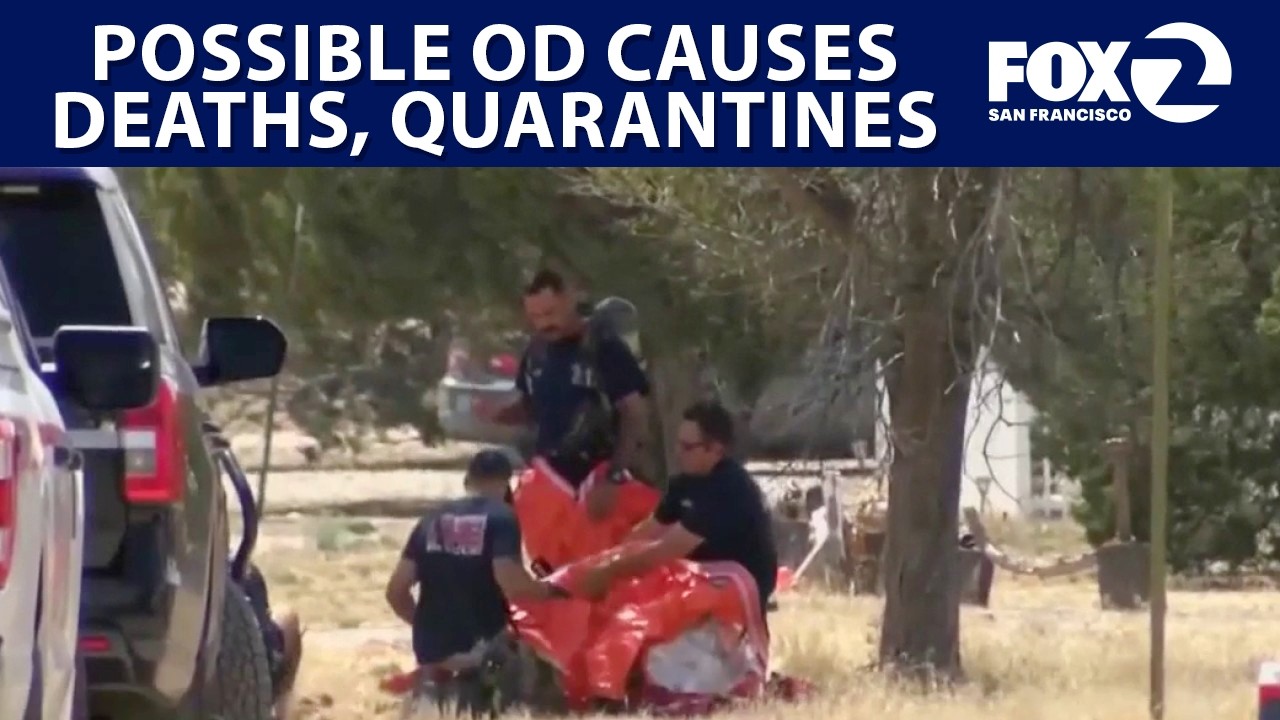 Overdose causes deaths, quarantines in New Mexico | West Coast Wrap Overdose causes deaths, quarantines in New Mexico | West Coast Wrap