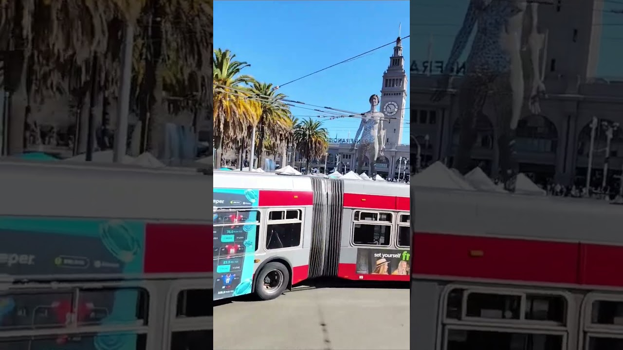 SAN FRANCISCO CALIF🩵 SAN FRANCISCO CALIF🩵