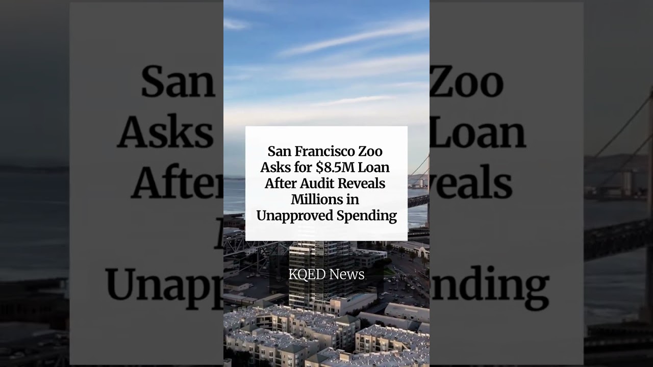 San Francisco Zoo Asks for .5M Loan After Audit Reveals Millions in Unapproved Spending