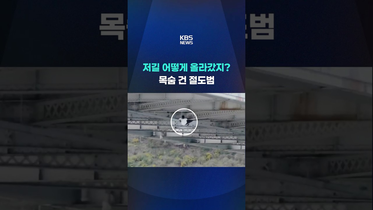 저길 어떻게 올라갔지? 목숨 건 절도범 #shorts / KBS 저길 어떻게 올라갔지? 목숨 건 절도범 #shorts / KBS