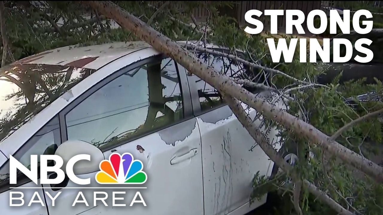 Strong winds prompt public safety power shutoffs for thousands across Bay Area Strong winds prompt public safety power shutoffs for thousands across Bay Area
