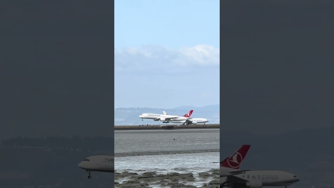 Turkish Airlines A350 BUTTER Landing at SFO #viral #aviation #airplane ￼