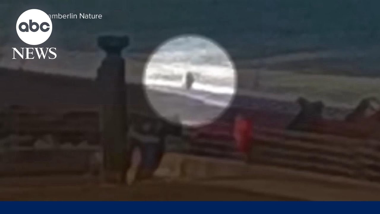 Dangerous sneaker waves in Northern California Dangerous sneaker waves in Northern California