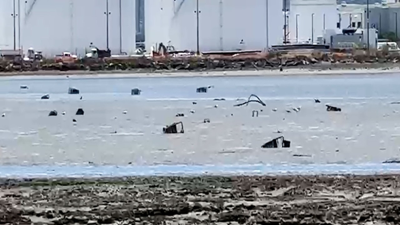 Dozens of apparent shopping carts stuck in marsh along SF Bay: ‘How did they get there?!’ Dozens of apparent shopping carts stuck in marsh along SF Bay: ‘How did they get there?!’