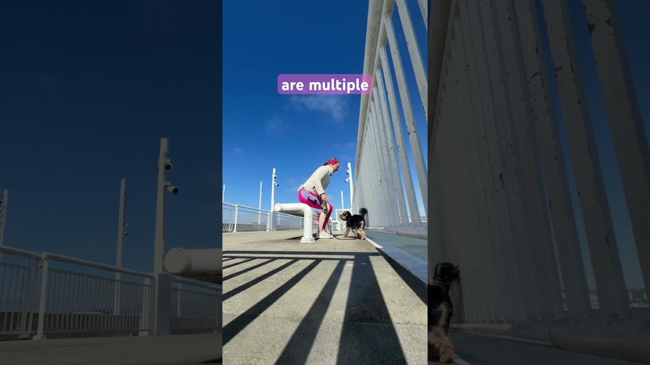 Have you walked the Bay Bridge Trail yet? Have you walked the Bay Bridge Trail yet?
