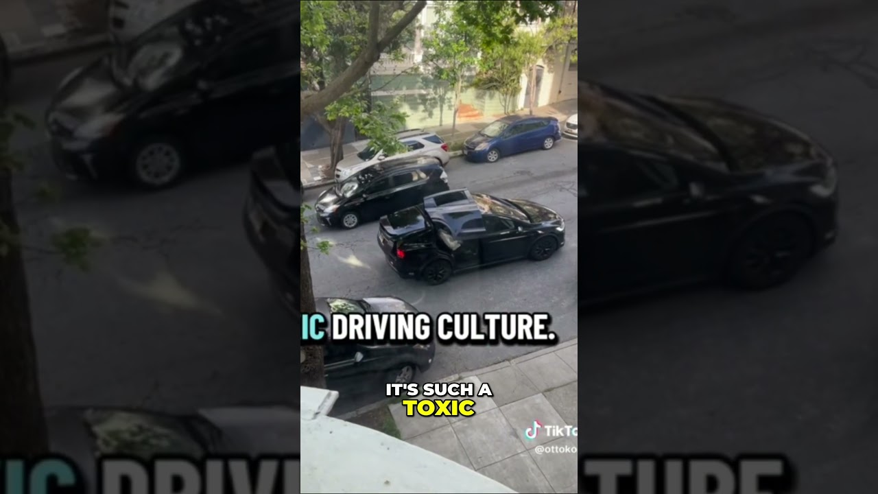 IDIOT Tesla Driver ILLEGALLY Parked in San Francisco!