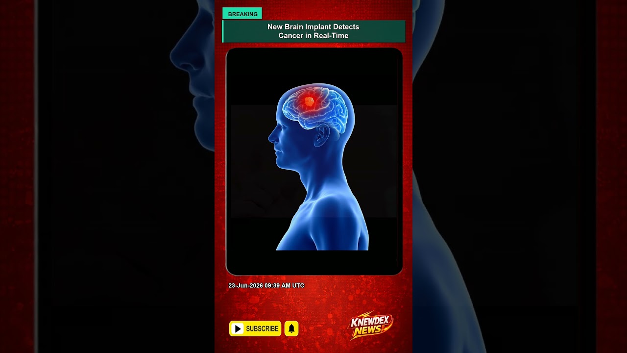 New Brain Implant Detects Cancer in Real-Time New Brain Implant Detects Cancer in Real-Time