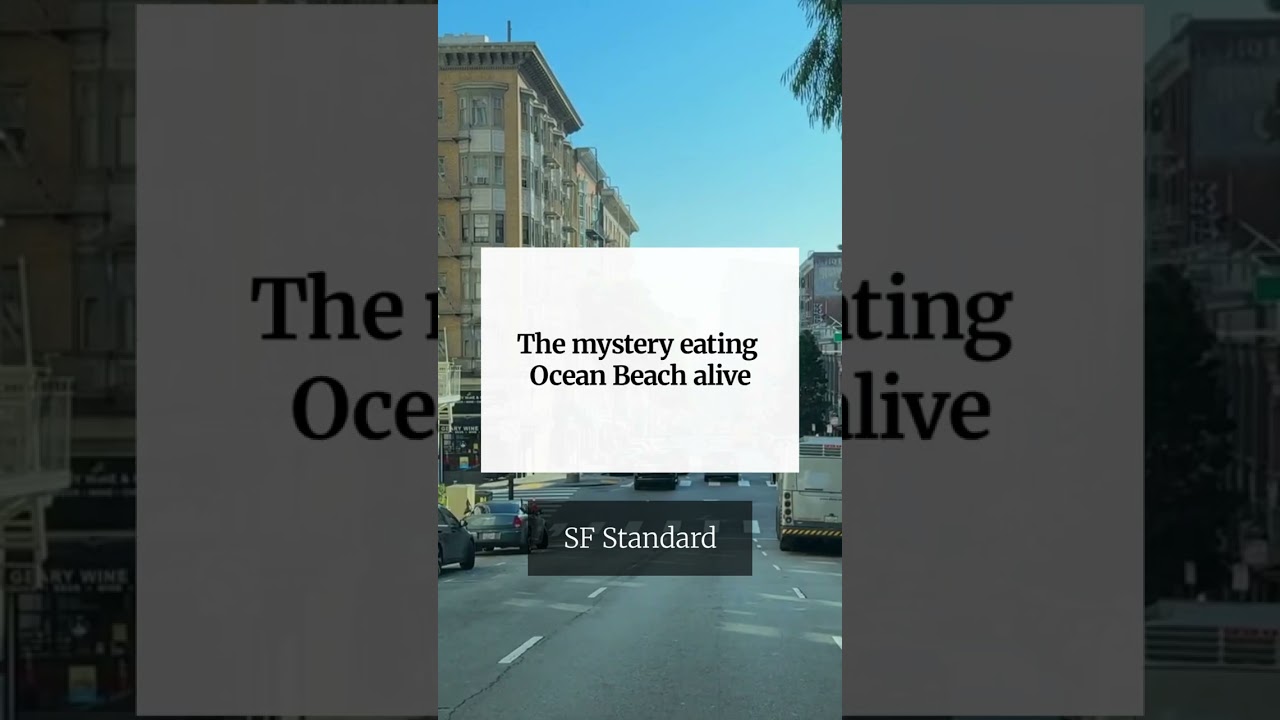 The mystery eating Ocean Beach alive The mystery eating Ocean Beach alive