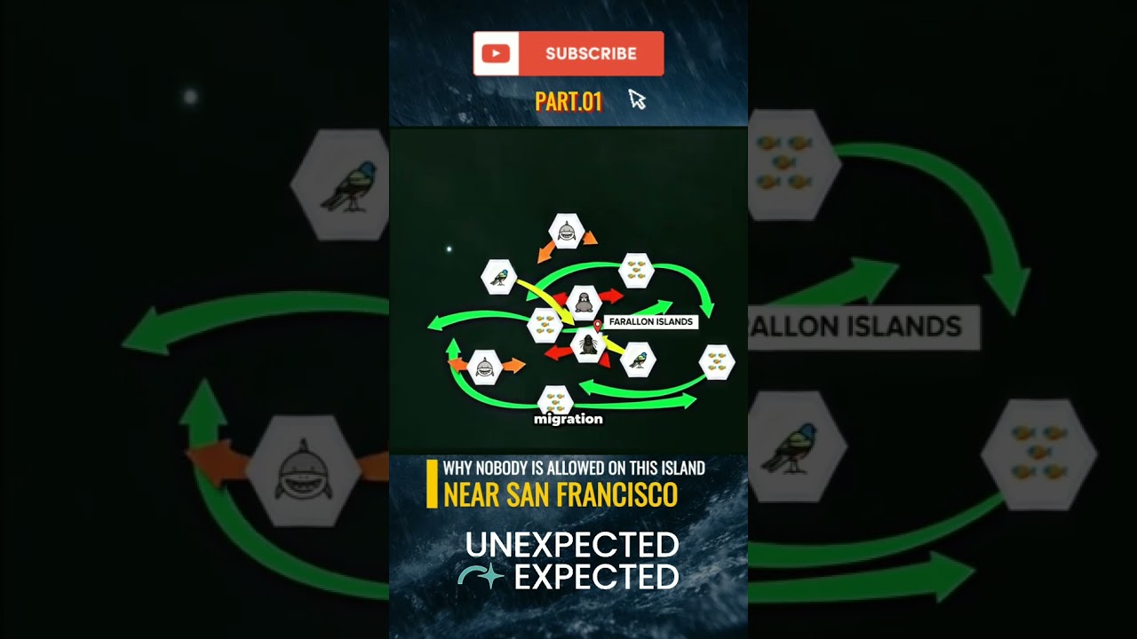 UNEXPECTED: Why this San Francisco island is forbidden – Part 1 – 4/4 #geography #sanfrancisco #news UNEXPECTED: Why this San Francisco island is forbidden – Part 1 – 4/4 #geography #sanfrancisco #news