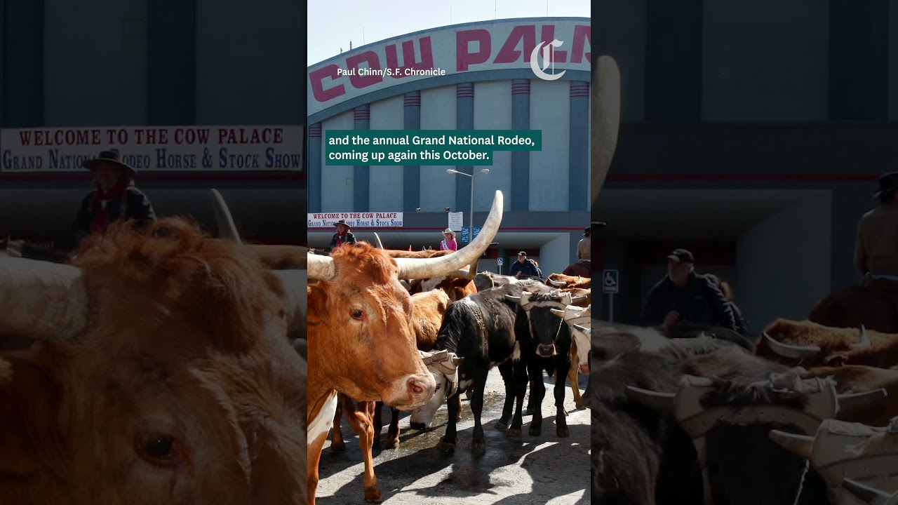 Data center could be built on edge of S.F., at historic Cow Palace Data center could be built on edge of S.F., at historic Cow Palace
