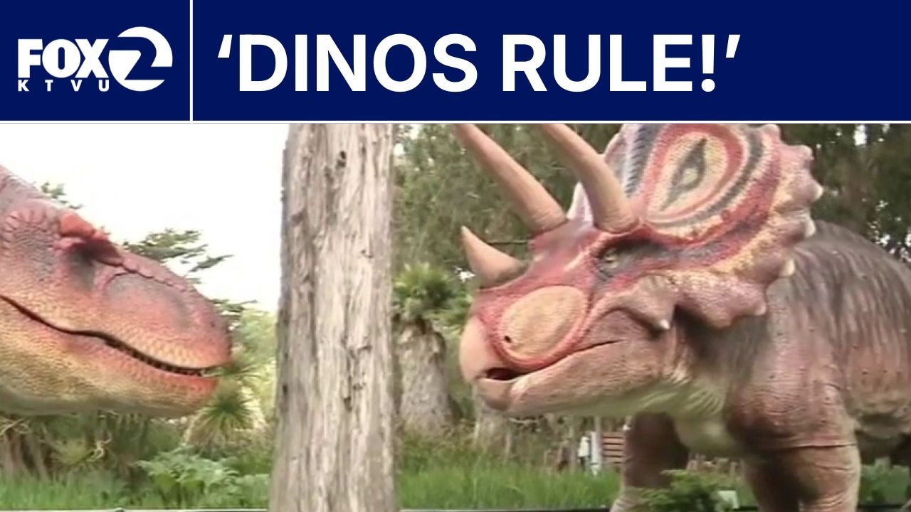 Interactive dinosaur exhibit unveiled at San Francisco Zoo | KTVU Interactive dinosaur exhibit unveiled at San Francisco Zoo | KTVU