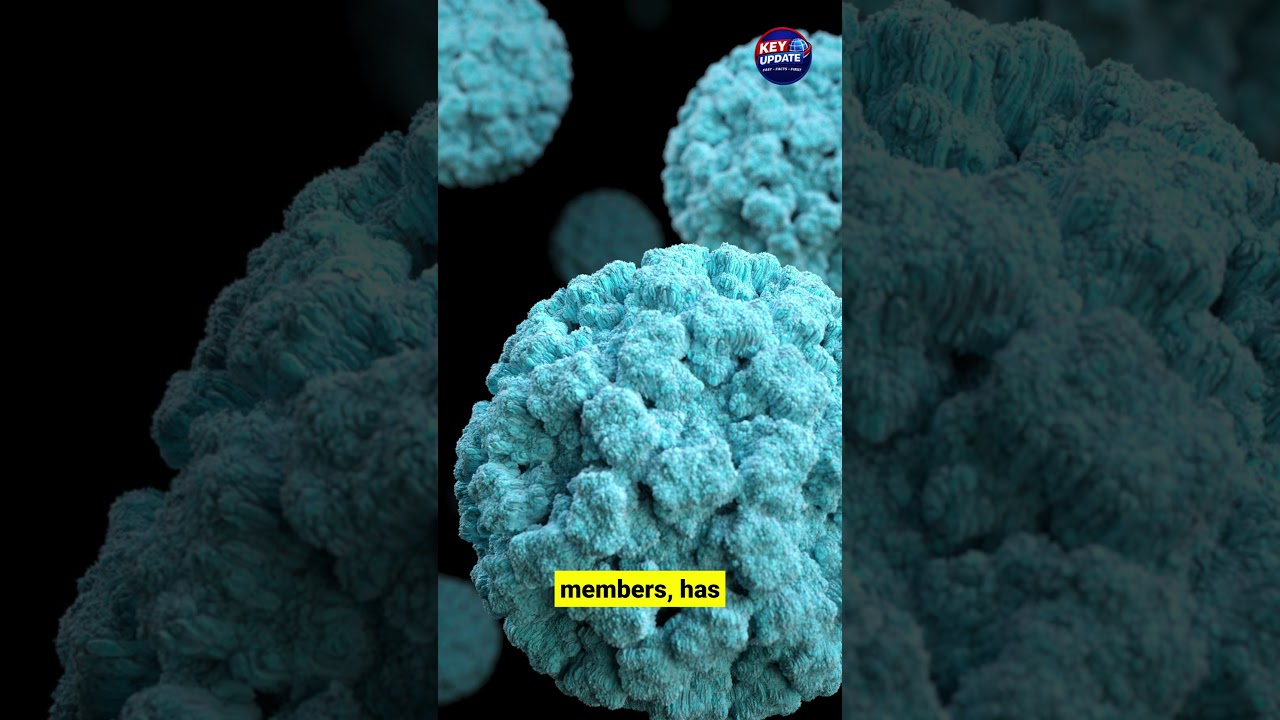 Over 120 Infected in Norovirus Outbreak Aboard US Cruise Ship Over 120 Infected in Norovirus Outbreak Aboard US Cruise Ship