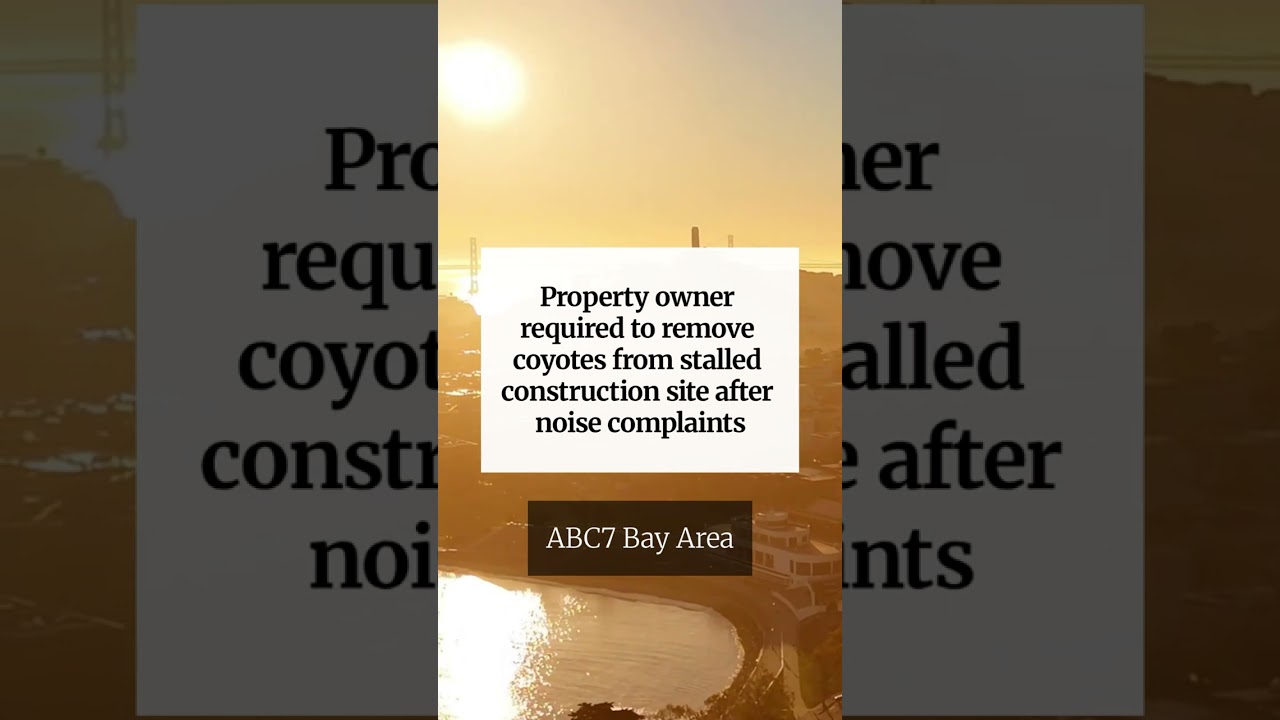 Property owner required to remove coyotes from stalled construction site after noise complaints