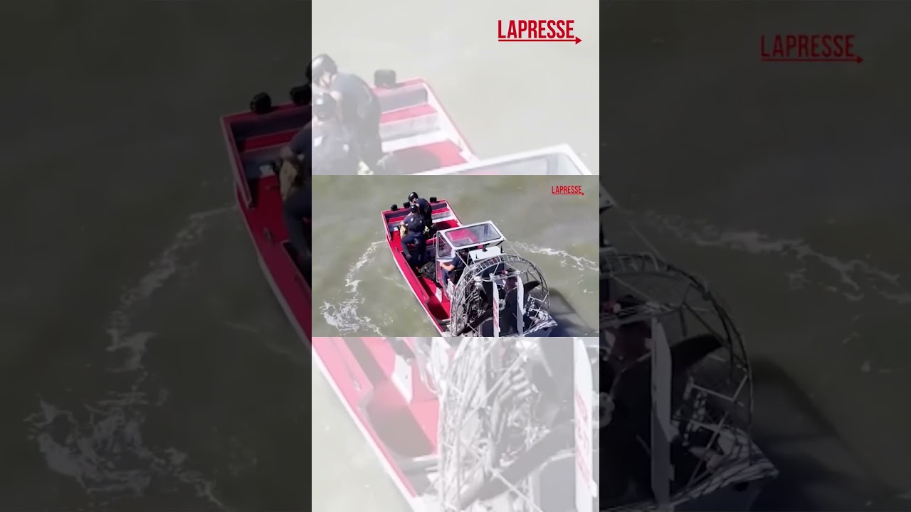 San Francisco: cucciolo disperso da settimane salvato nella baia dai vigili del fuoco San Francisco: cucciolo disperso da settimane salvato nella baia dai vigili del fuoco