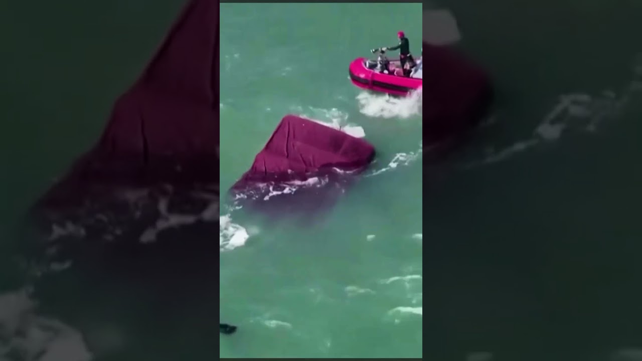 San Francisco : Un Bateau Sombre Près d’Alcatraz, Les Recherches se Poursuivent #breakingnews San Francisco : Un Bateau Sombre Près d’Alcatraz, Les Recherches se Poursuivent #breakingnews