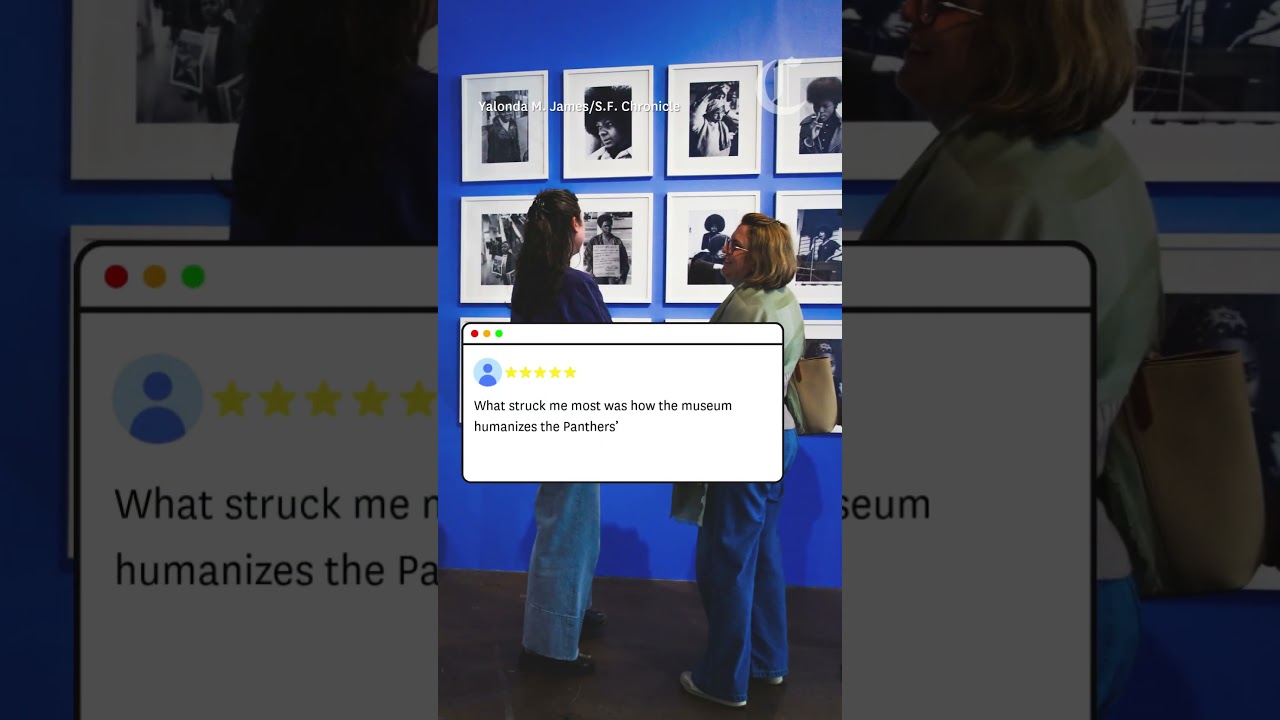 Top 10 museums in the Bay Area, according to Google reviews Top 10 museums in the Bay Area, according to Google reviews