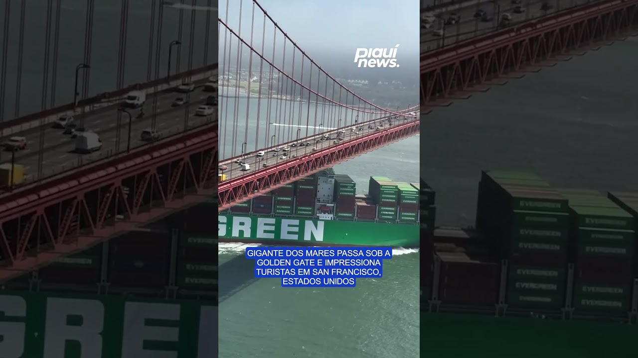 Gigante dos mares passa sob a Golden Gate e impressiona turistas em San Francisco